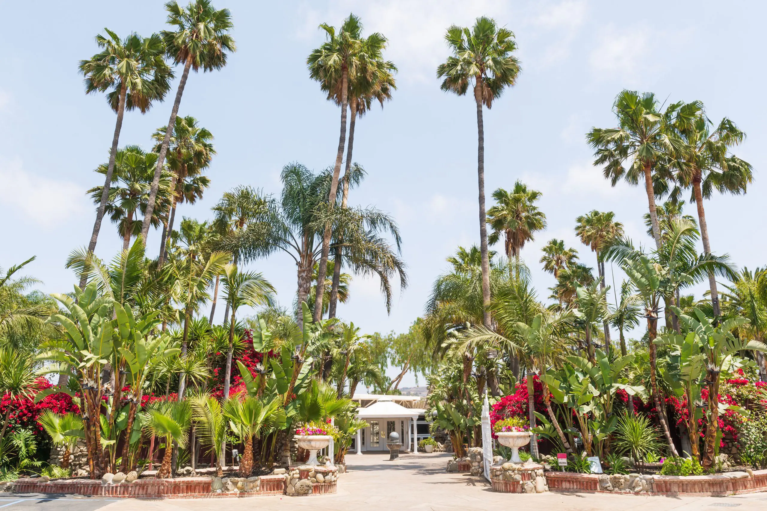 Rancho de las Palmas (Moorpark, California)